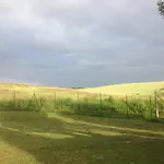 Podere Il Mulino 3* Pieve di Santa Luce