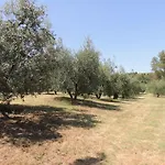 ベッド・アンド・ブレックファスト Podere Il Mulino 3*