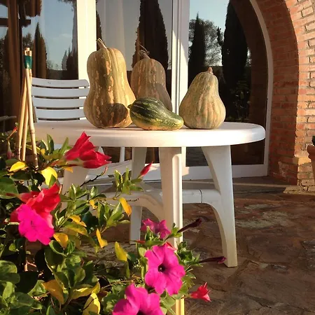 Bed & Breakfast Podere Il Mulino *