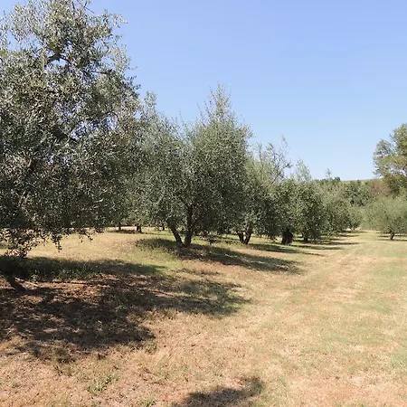 Nocleg ze śniadaniem Podere Il Mulino 3*