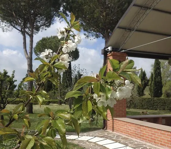 Podere Il Mulino Bed & Breakfast