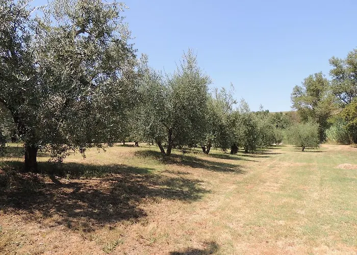 Bed & Breakfast Podere Il Mulino 3*